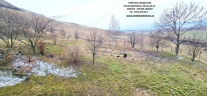 Vila cocheta, beci si livada, cadru natural intim si atractiv, zona Ciritei