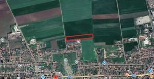 Teren extravilan, 2 hectare, oras Pecica