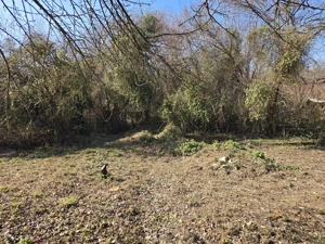 Vand casa veche cu teren Calimanesti - imagine 7