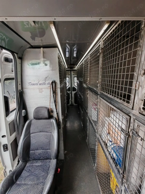 VANZARE Duba transport animale 