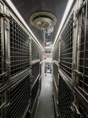 VANZARE Duba transport animale  - imagine 5