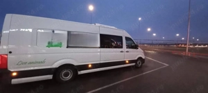 VANZARE Duba transport animale  - imagine 2