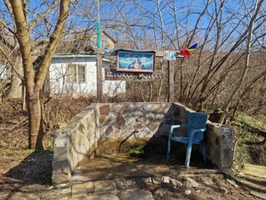 Teren extravilan, 23 400 mp, Cuvin (Ghioroc) - imagine 3