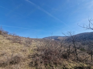 Teren extravilan, 23 400 mp, Cuvin (Ghioroc) - imagine 2