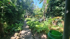 Curte in proprietate // 180mp // Acces stradal - imagine 2