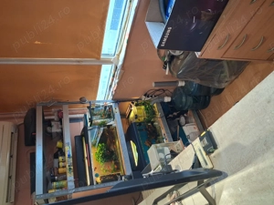 Basarabia -Campia Libertatii - imagine 3