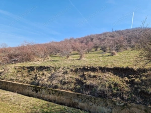 Teren extravilan,  zona si priveliste superba, Cuvin - imagine 6
