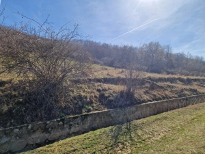 Teren extravilan,  zona si priveliste superba, Cuvin - imagine 3