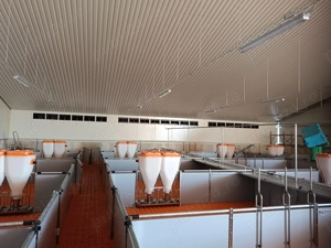 Angajez muncitori construcții instalații, structuri metalice 