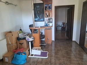 Deva - Vila  8 Camere  - imagine 10