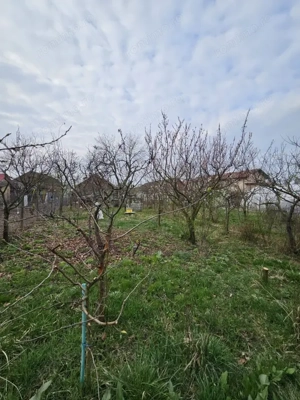 Giarmata Mare - Casa 4 Camere - Teren Generos - imagine 14