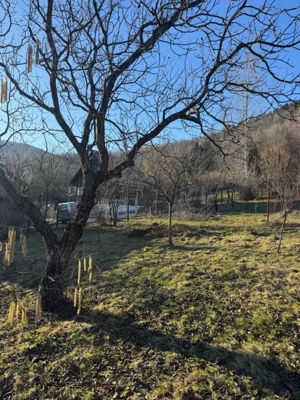 Casă 3 dormitoare, 90 mp, teren 10 ari, zona Firiza - imagine 17