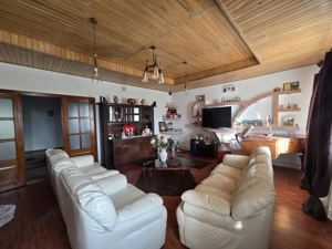 Utvin-Central-Vila S+P+E+M-360mp-2 accese-Garaj - imagine 14