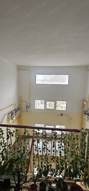 Apartament 2 camere, Brazda - imagine 7