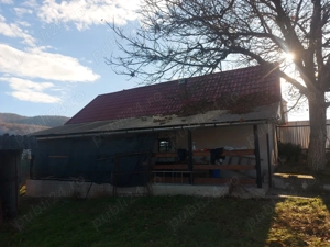 Vand casa in Fasca - imagine 4