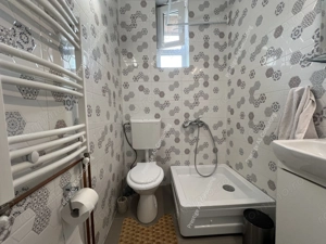 Vila individuala renovata complet | 6 camere | 500 mp teren | Str Jean Monnet - imagine 20