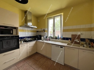 Vila individuala renovata complet | 6 camere | 500 mp teren | Str Jean Monnet - imagine 10