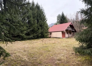 Casa de vacanta - Lesu - Coada lacului