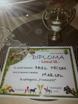 armasar de vânzare  - imagine 3