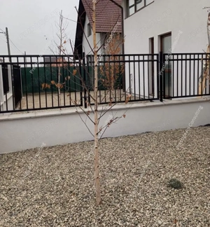 Duplex  4 Camere 250mp Teren| Mosnita Noua-Str Oituz - imagine 4