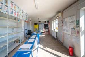 HALĂ DE VÂNZARE SĂCĂLAZ – 4.053 MP TEREN  - imagine 3