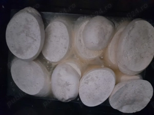 Branza de oaie și capra