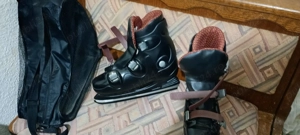 patine cu geanta de transport 