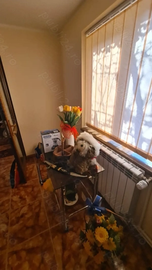 Proprietate imobiliară rezidențială de vânzare în Comuna Ivești, Sat Bucești, Jud. Galați - imagine 3