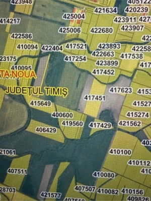 Teren Extravilan In Mosnita Noua - imagine 4