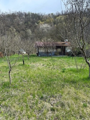 Teren intravilan 2000 mp   Hală (service camioane), Birou   Ideal Business si casa de locuit - imagine 9