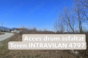 Teren intravilan 4.797 mp Bujoreni (Lăzărești)   zonă Lic, P+2E - imagine 4