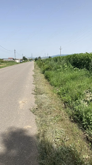 Teren de vânzare Sere Onești