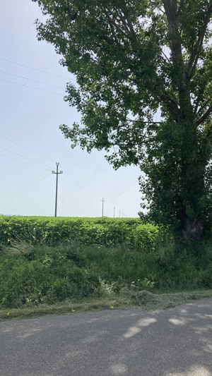 Teren de vânzare Sere Onești - imagine 2