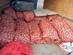 samanta cartofi (rosu si alb)