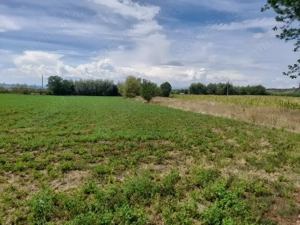 Vând casă și teren  - imagine 4