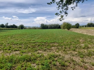 Vând casă și teren  - imagine 5