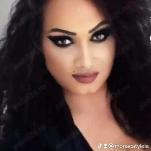 Top transs Moregzena diponibila party open mind