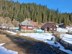 teren de vinzare  - imagine 12