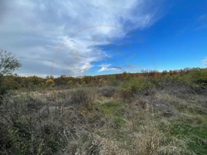 Teren intravilan 6975 mp Mosoaia Arges - imagine 11