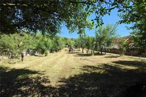 Gospodarie cu teren generos si constructii solide intr-o zona linistita - imagine 3