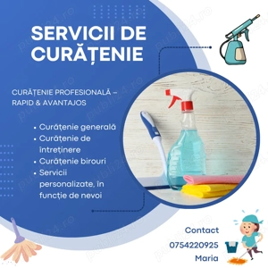Firma curățenie - Servicii profesionale