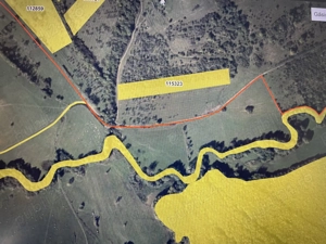 Vand teren in Tocile (jud. Sibiu)