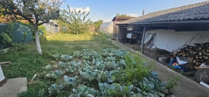 Casa la 2km de Alesd si 35 de km de Oradea - imagine 10