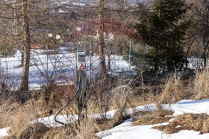 Teren pregătit pentru construcția casei tale! - imagine 4