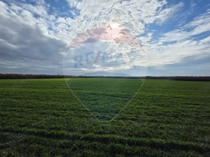 Vânzare teren agricol 12 ha, Giarmata - Jud. Timiș - imagine 2