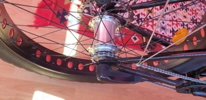 Vand Pegas Cutezatorul