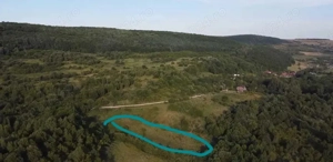 Oportunitate teren 5000 mp+2800 mp Padure Bonus - imagine 2