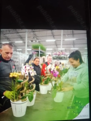 O ultima plecare pe aceasta luna