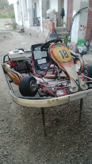 Flota de karturi  - imagine 5