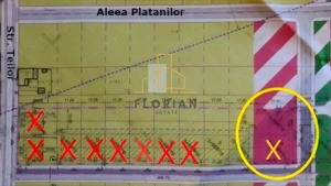 Teren Intravilan Servicii- Giarmata-Vii -str. Teilor-